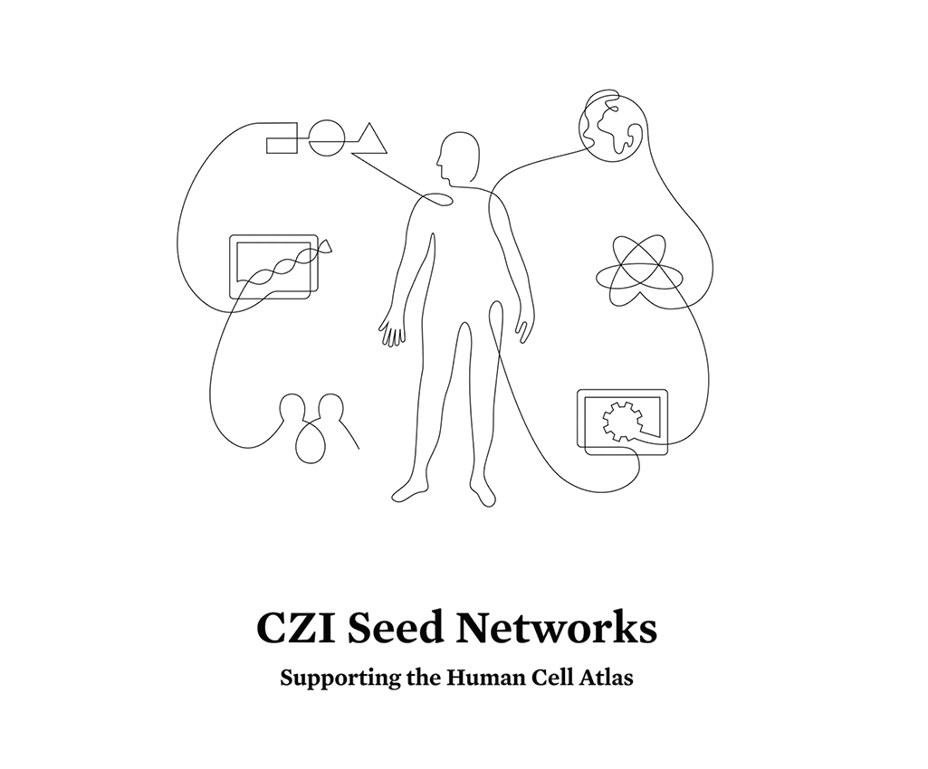 CZI’s Seed Networks for a Human Cell Atlas animated graphic of a person surrounded by six icons representing the initiative's project areas (Annual Letter).
