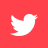 Small red square Twitter logo icon (CZI Candidate Resources).