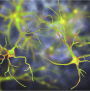 Neurodegeneration Challenge Network thumbnail photo of neurons.