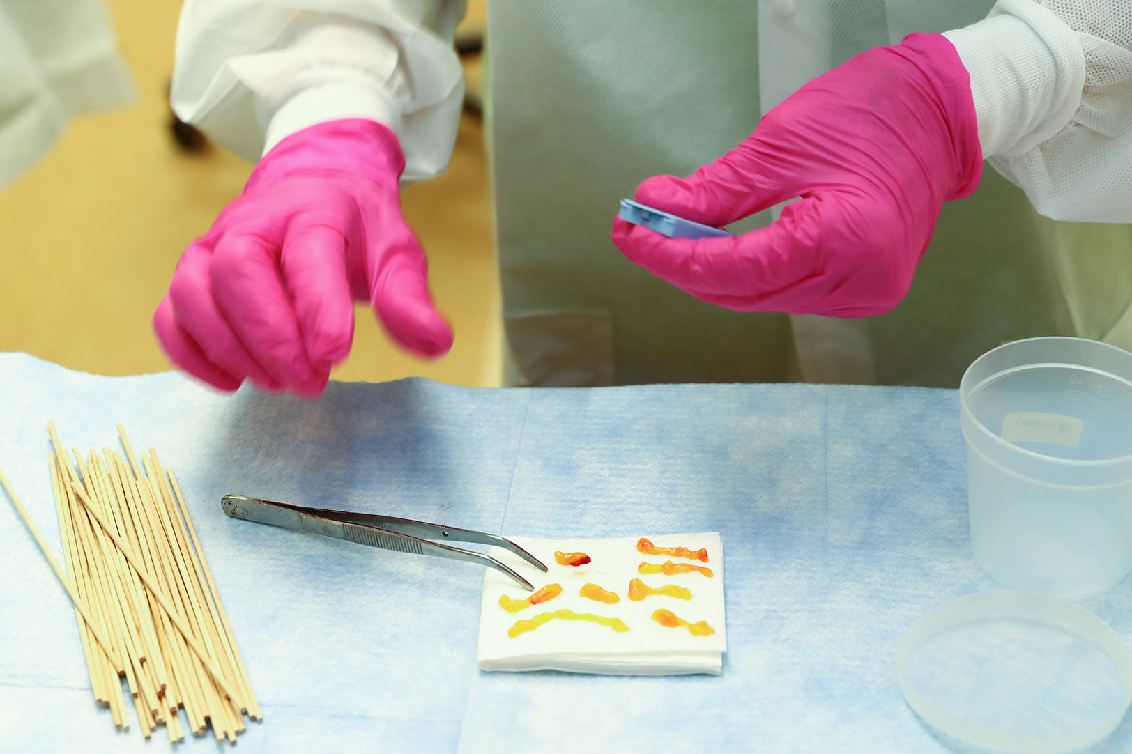 One researcher working with human tissue samples in a lab.