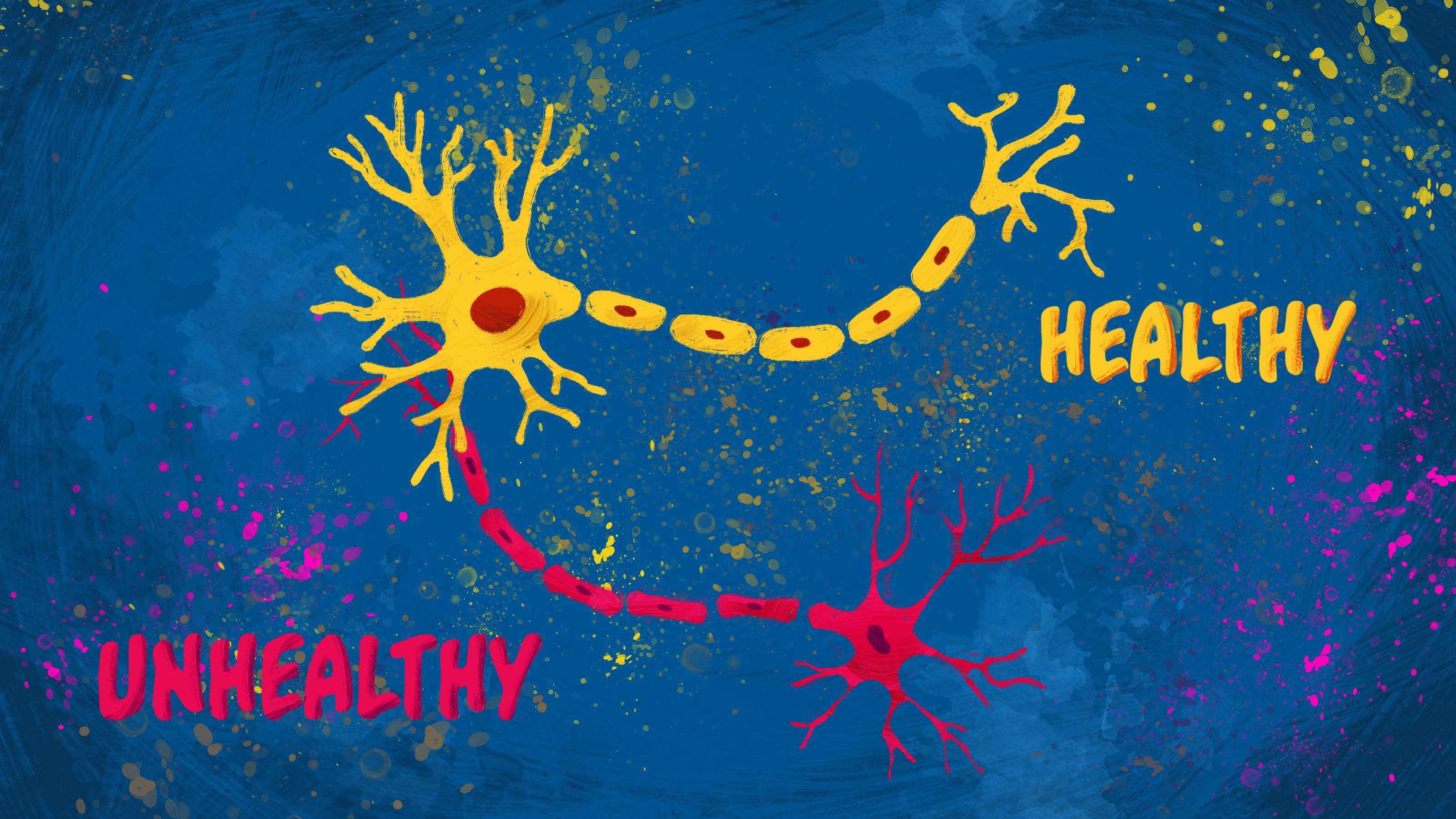 A colorful illustration of cells marked “healthy” and “unhealthy.”