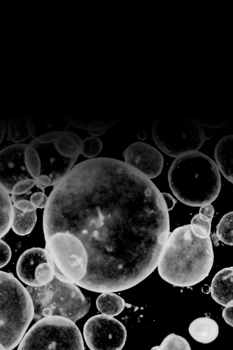 Single-cell biology represented by grayish bubbles of varying shapes on a black background.