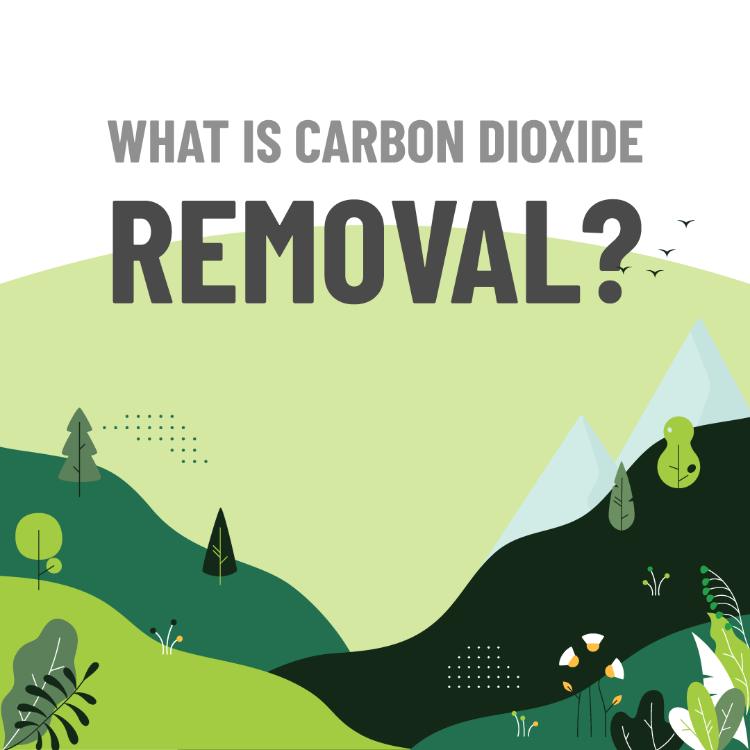 What Is Carbon Dioxide Removal - CZI Blog