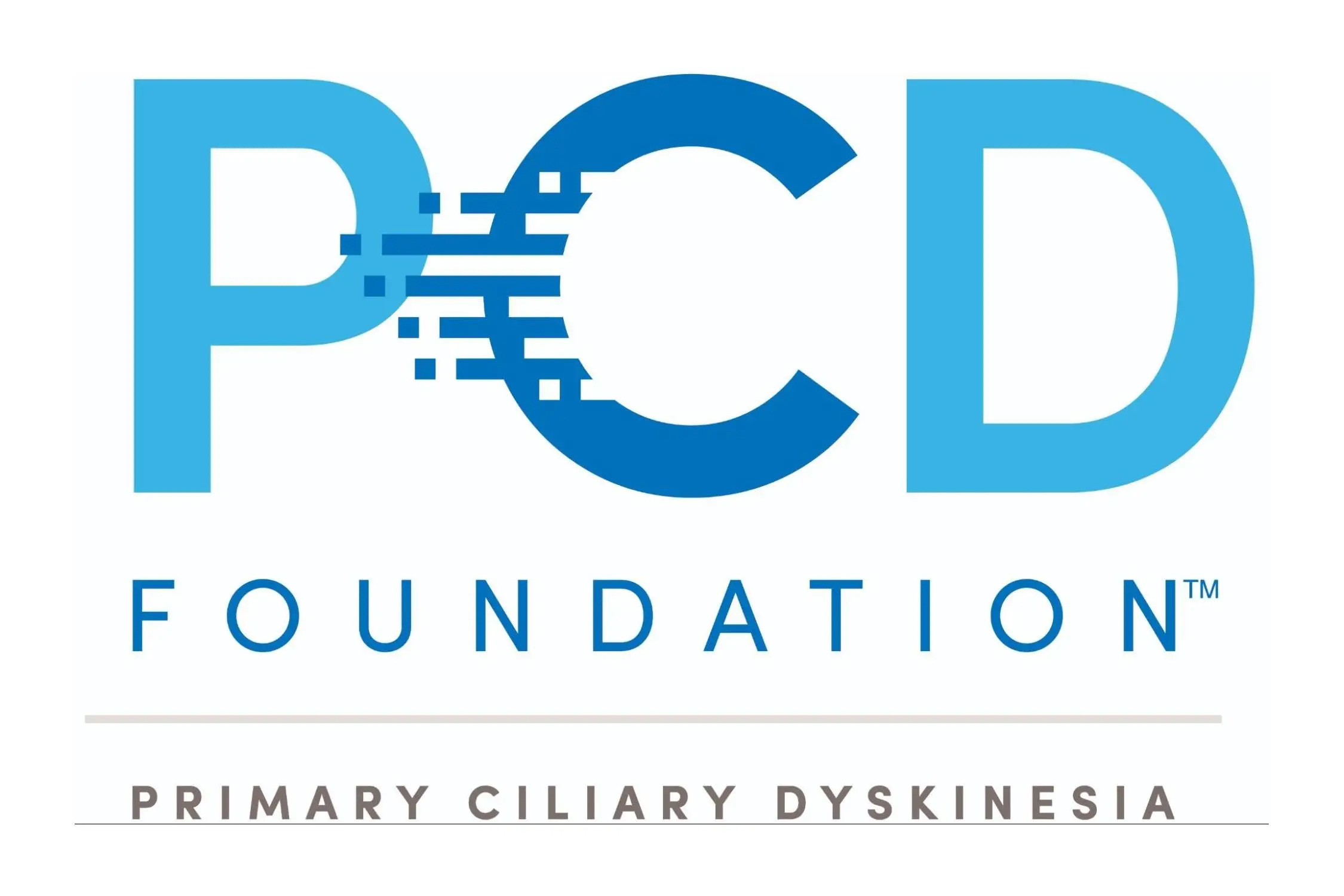 PCD Foundation Logo