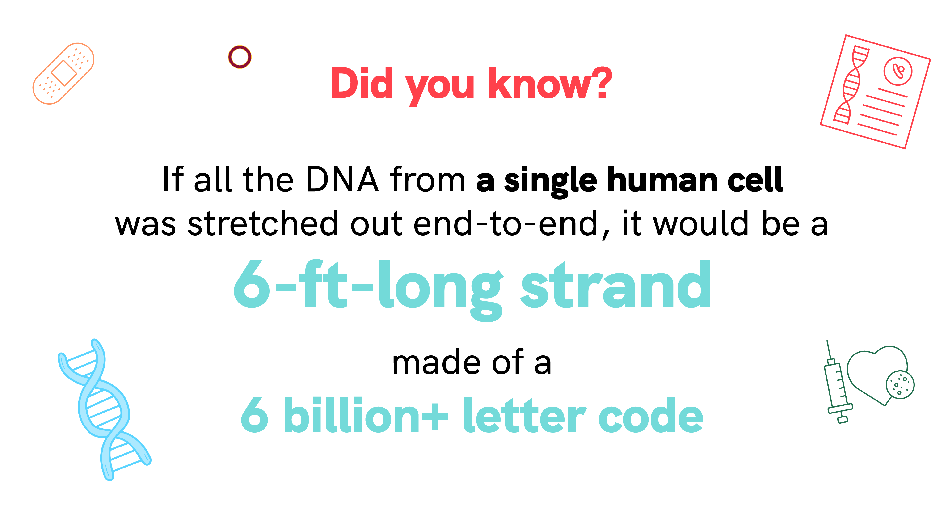 Did you know? If all the DNA from a single human cell was stretched out end to end, it would be a six foot long strand made of a more than 6 billion letter code