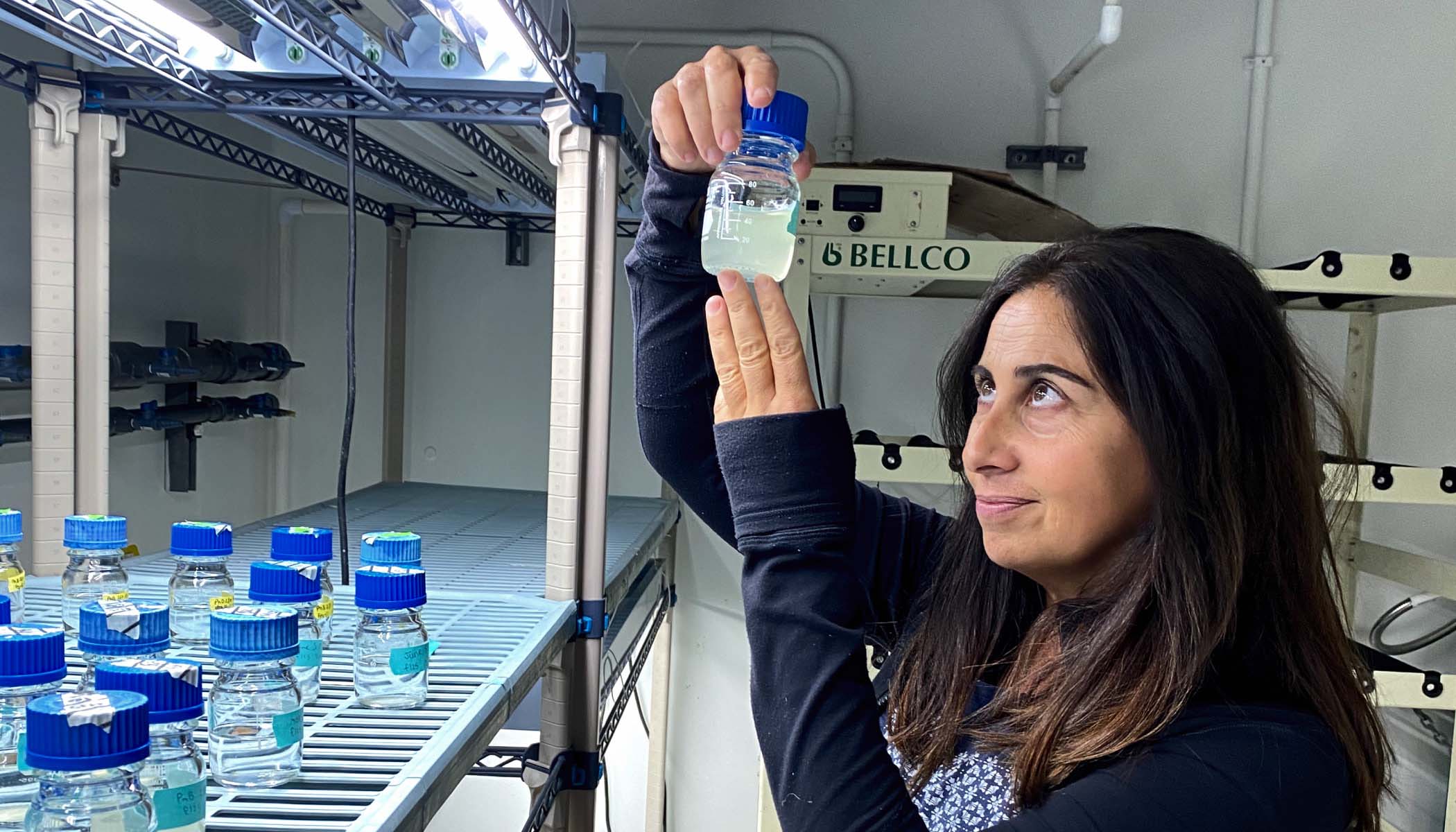 UCSB professor Débora Iglesias-Rodriguez looks closely at a bottle of liquid while in a lab.