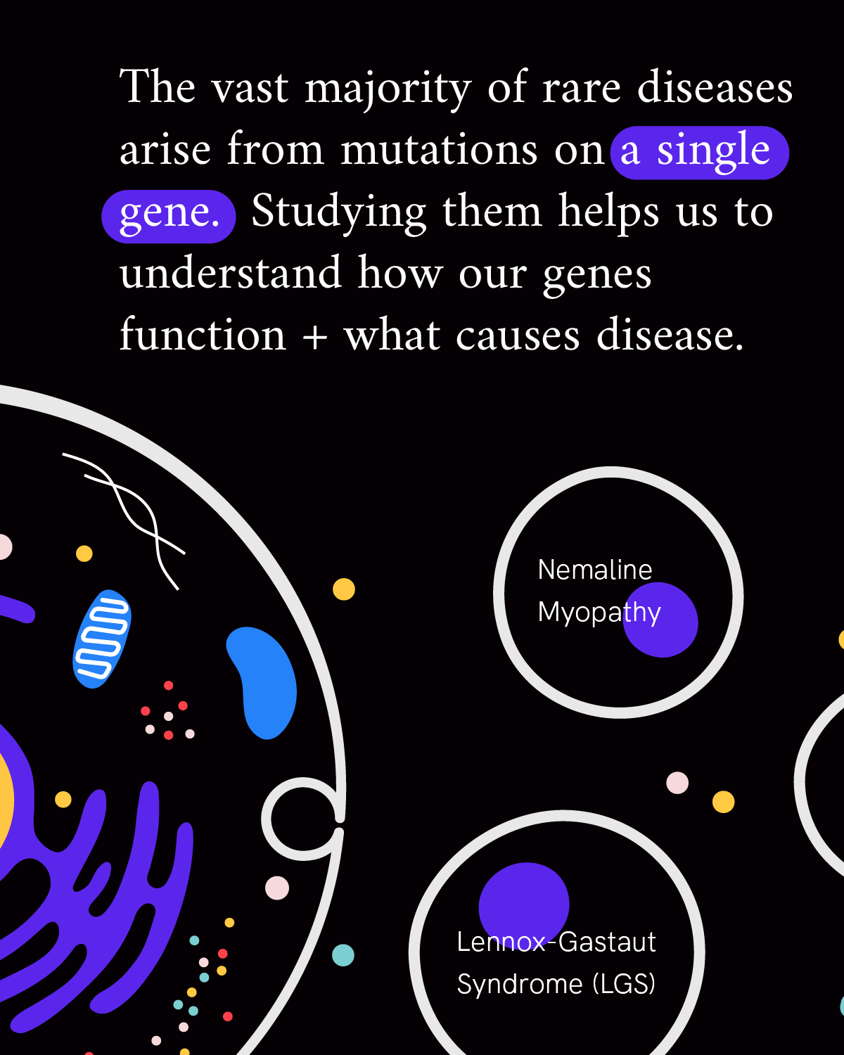 Infographic reads “The vast majority of rare diseases arise from mutations on a single gene. Studying them helps us understand how our genes function + what causes disease.” Purple, blue, white and yellow illustrations of the parts of a cell — represented by squiggles, ovals, and dots — including two circles that spell out the names of two rare diseases accompany the text.