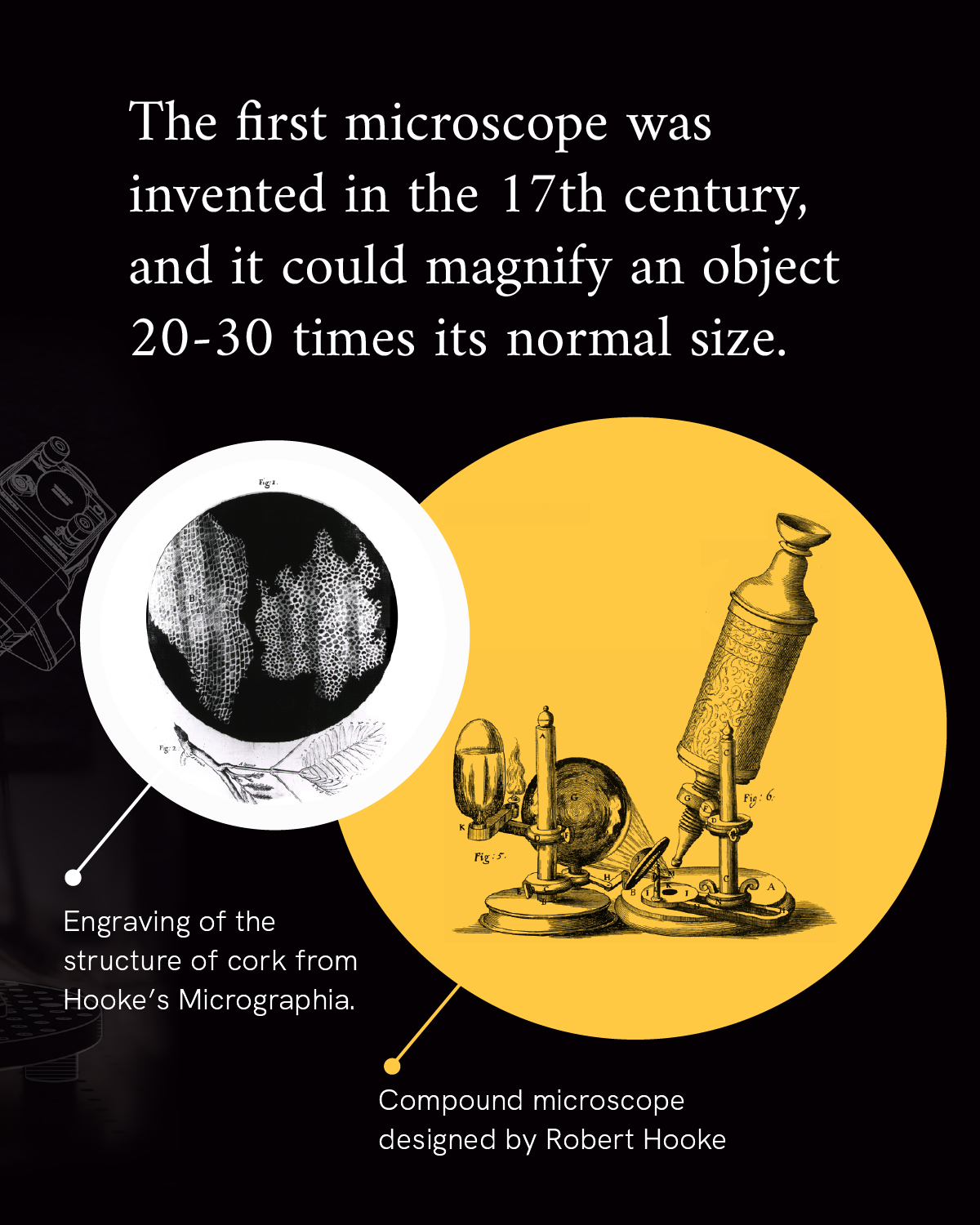 Infographic reads “The first microscope was invented in the 17th century, and it could magnify an object 20-30 times its normal size.” An illustration of an original microscope next to an illustration of the engraving from the microscope accompanies the text.