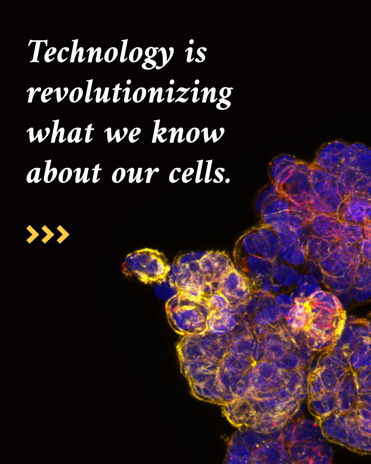 Infographic reads “Technology is revolutionizing what we know about our cells.” Magnified cell imagery in yellow, purple and pink clusters accompany the text along with three arrows pointing to the right in yellow.