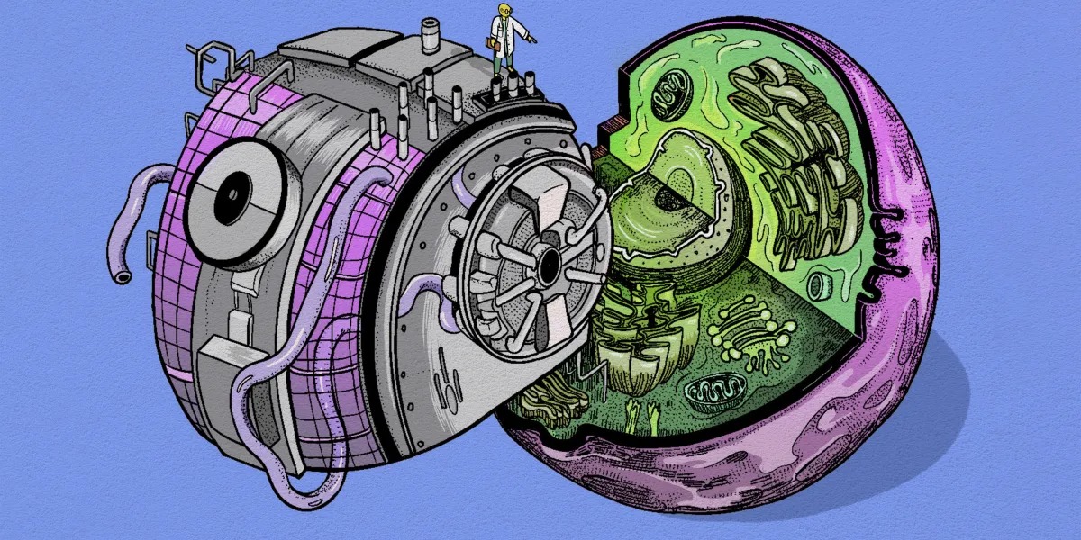 A stylized split cell, half mechanical vault, half biological, with a figure in a lab coat standing on top.