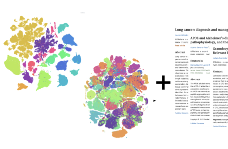 A cluster of multi-colored spots forming a misshapen circle.