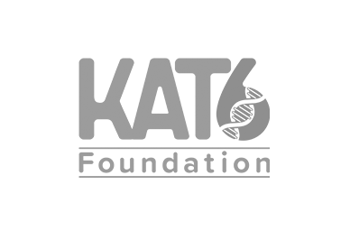 KAT6 Foundation logo