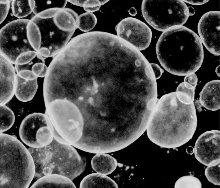 White bubble-like shapes on a black background.