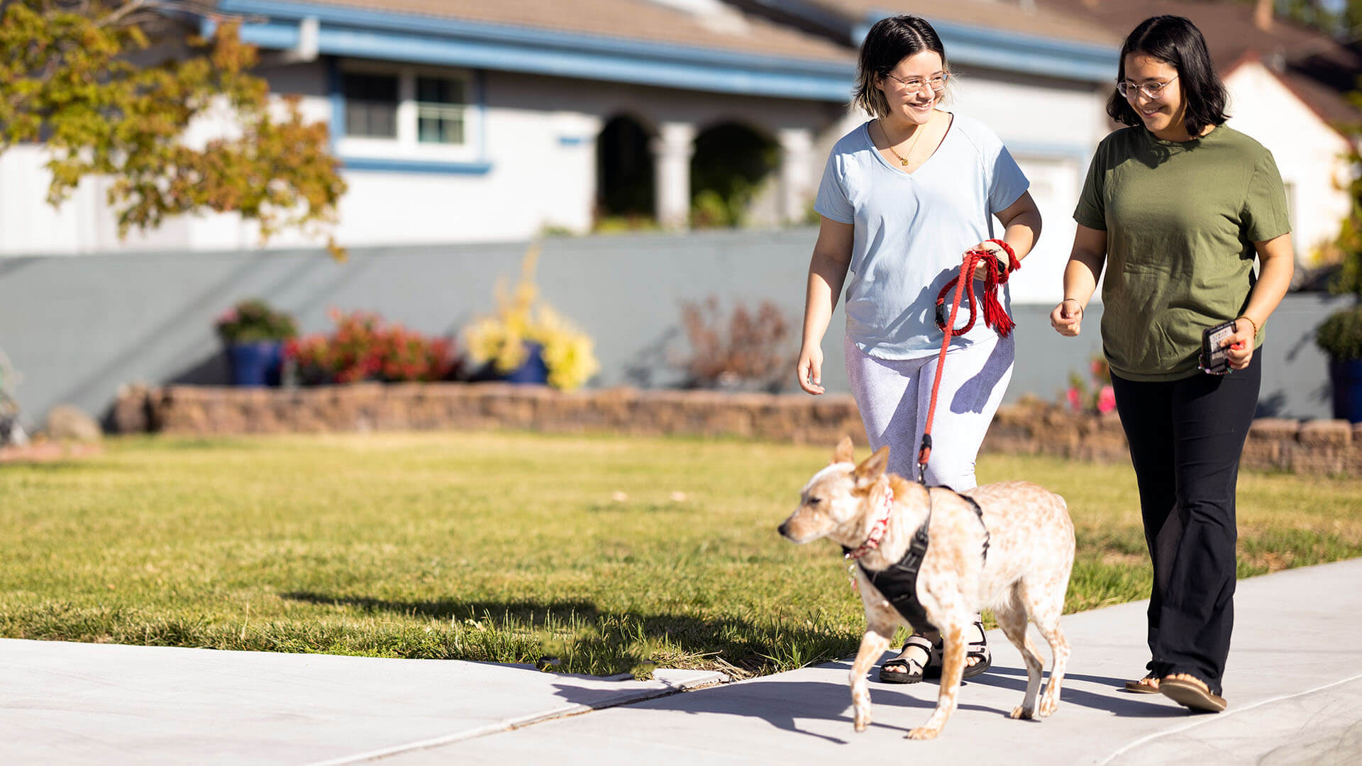 Two women smile while walking a dog.