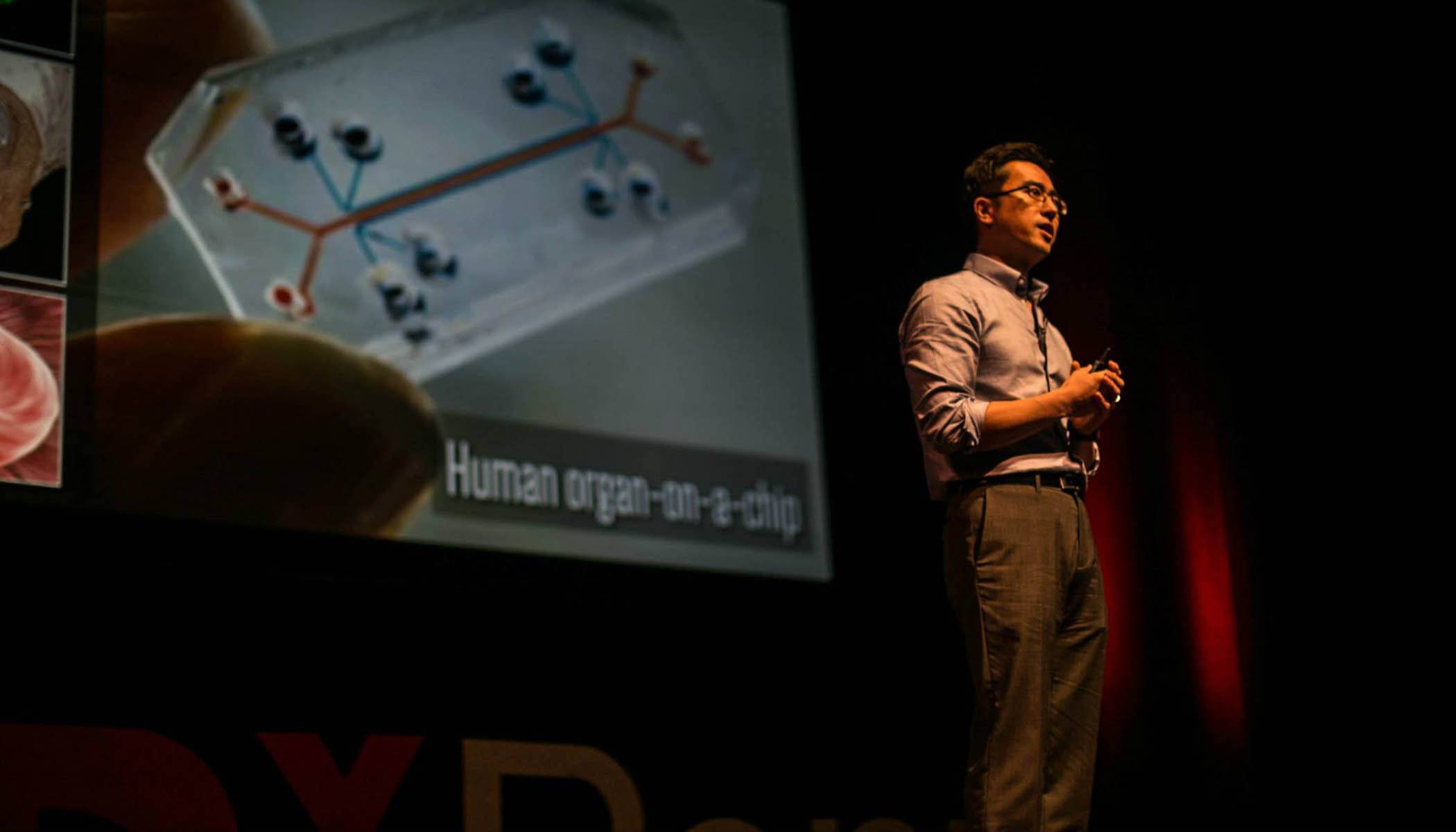 A man stands on a stage, behind him is a large screen displaying a small plastic chip and the worlds “human organ-on-a-chip”