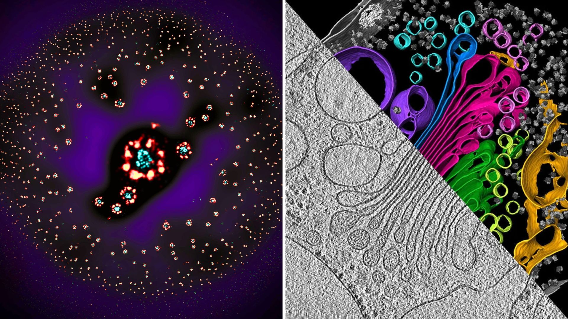 Side-by-side photos: A sphere made of gold circles on a purple background. And a gray right-angle triangle with splotches of different colors protruding from it.